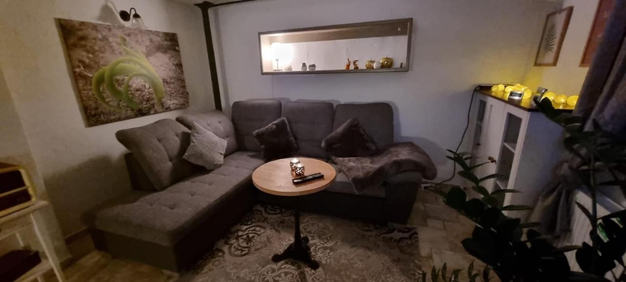 Monteur-Ferienwohnung Ot Naundorf Naundorf  エクステリア 写真
