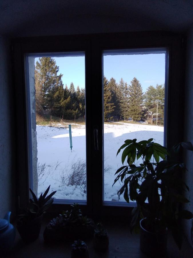 Monteur-Ferienwohnung Ot Naundorf Naundorf  エクステリア 写真